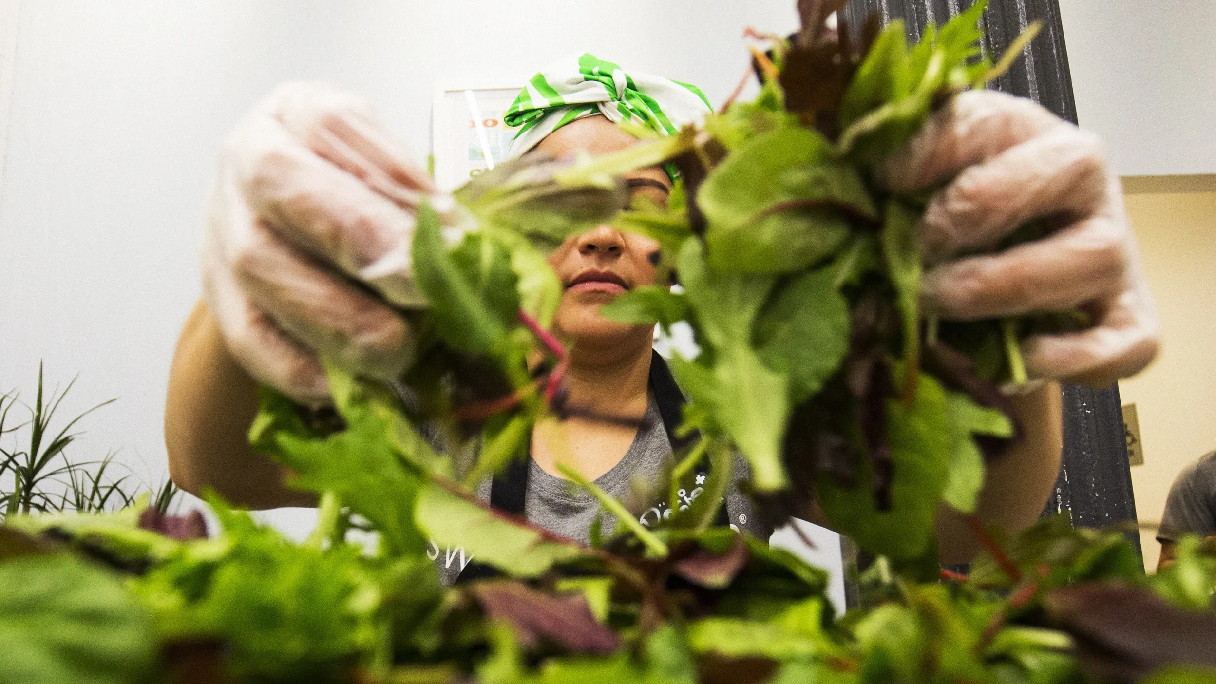 Cyclospora Outbreak Fears Push Sharp Foot Traffic and Stock Drops for Salad-Focused U.S. Restaurants